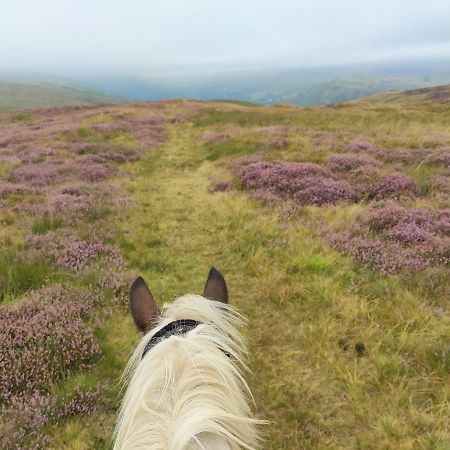 Pentre Riding Stables Otel Abercraf Dış mekan fotoğraf