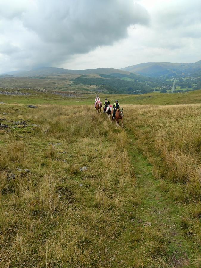 Pentre Riding Stables Otel Abercraf Dış mekan fotoğraf