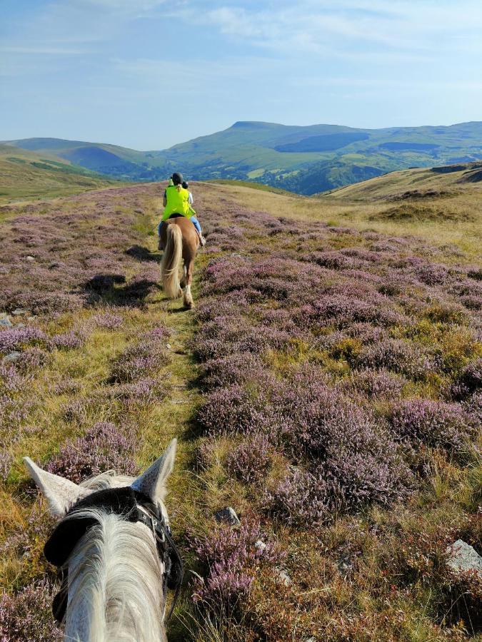 Pentre Riding Stables Otel Abercraf Dış mekan fotoğraf