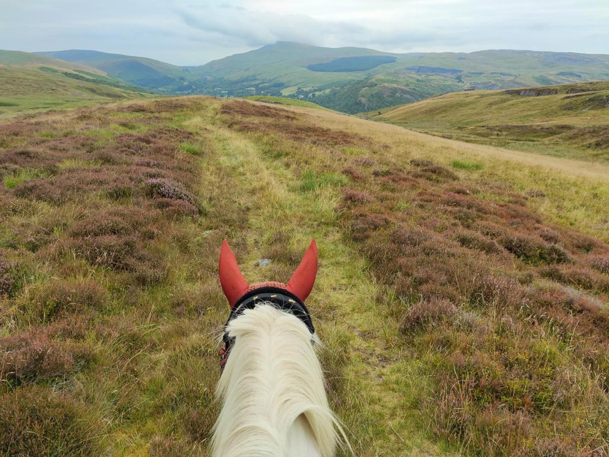 Pentre Riding Stables Otel Abercraf Dış mekan fotoğraf
